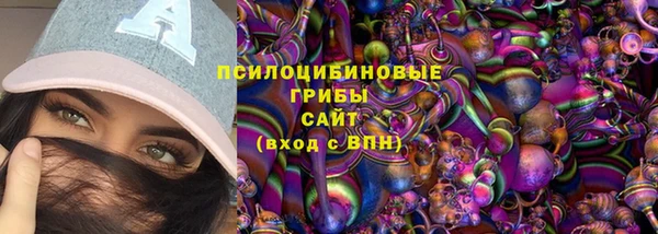 бошки Алзамай