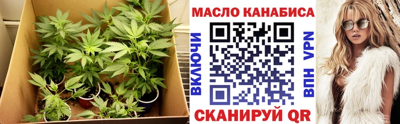 как найти закладки  Ядрин  ТГК гашишное масло 