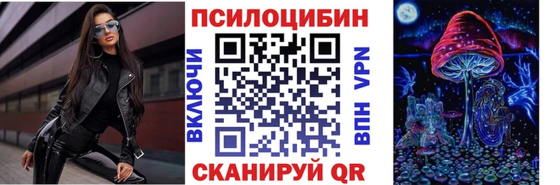 Псилоцибиновые грибы Psilocybe  где можно купить наркотик  Ядрин 